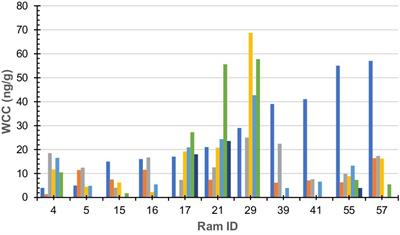 Non-invasive wool hormone assessment of Australian merino rams (Ovis aries): a pilot investigation of cortisol and testosterone